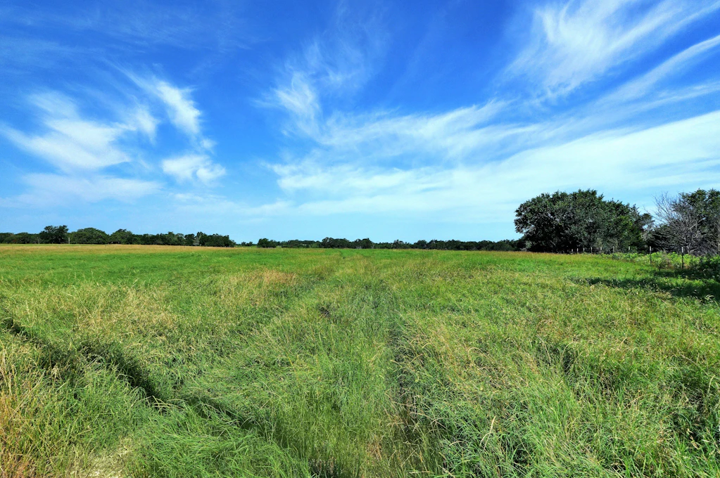 00 FM 619, Elgin, TX 78621, Presented by James Schwarz, Edmiston Properties. Powered by HomeDiary